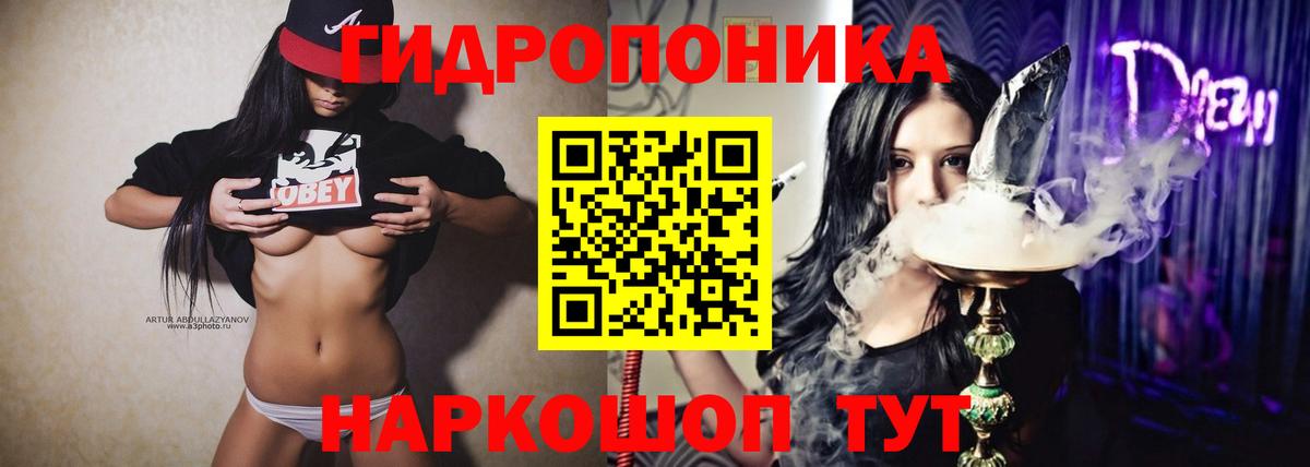 Канабис ГИДРОПОН  Вход с VPN  Благодарный  Канабис THC 21%  Каннабис семена  Конопля марихуана 